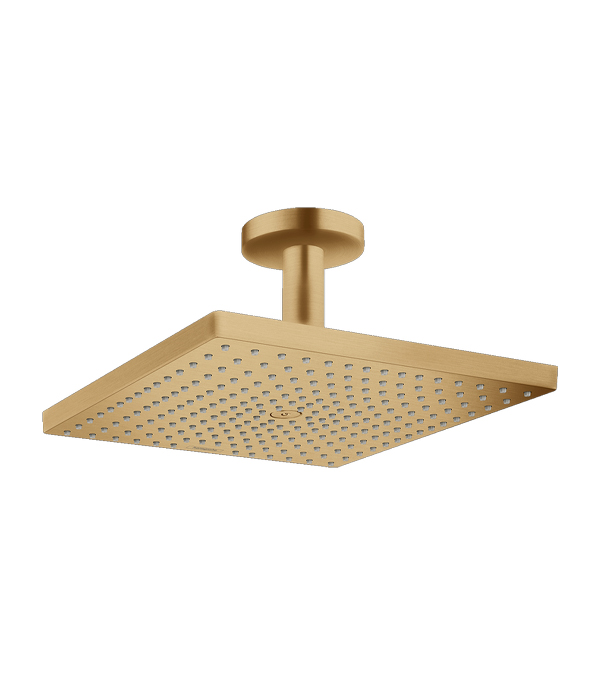 Cap de dus superior Raindance E 30 cm, bronz periat